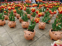 花見だね♪ 2010/04/04 23:28:41