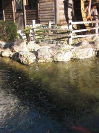 初氷 2011/12/17 09:26:24