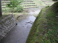 明日、開催します。 2011/08/05 14:15:46