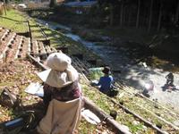 遠州のからっ風１番 2011/11/21 09:39:35