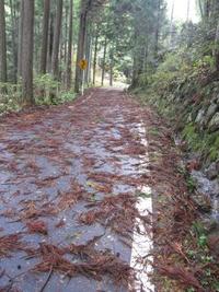 すごかった雨 2011/11/20 11:12:55