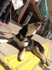 連休いかがお過ごしですか？ 2013/09/22 12:45:17