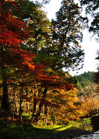 INFORMATION!! 2013/11/05 22:39:48