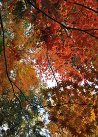 INFORMATION!! 2013/11/12 21:44:19