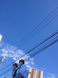 真っ青 2013/10/10 11:54:47