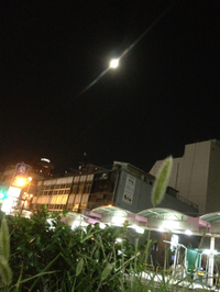 秋ですね！ 2013/09/19 21:30:00