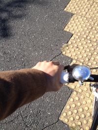 もう、寒すぎて・・・ 2013/10/27 18:23:10