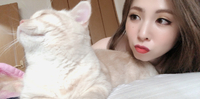 ボクノナハマイケル 2018/11/06 18:38:37