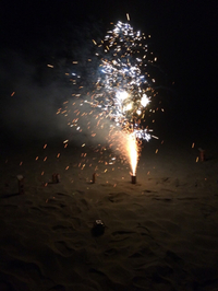 夏バテしてませんか？ 2014/07/16 23:43:39