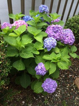 梅雨かぁ〜