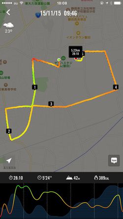 初マラソン　と言っても５kmですが、、、
