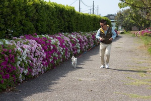 MOMO　公園デビュー