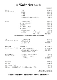 Hair Menu 2017/02/13 23:48:47