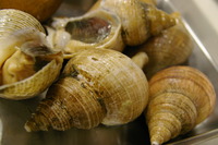 おせち、やらせて頂きます。 2012/12/06 00:48:36