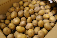 お休みのお知らせ 2012/10/24 23:39:59