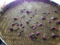 桜の塩漬け出来ました(OvO)