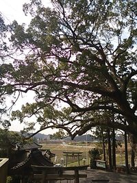 地球暦のおはなし会@事任八幡宮（遠江國一ノ宮）