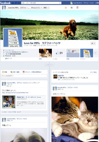 Facebook見てください(*´∀`)ﾉ 2013/02/17 13:35:02
