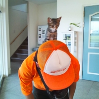 至福のまーしゃん 2013/10/17 17:29:26