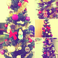 クリスマス♪ 2013/11/12 17:29:49