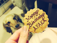 幸せっ＼(^o^)／ 2013/05/31 13:27:25
