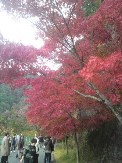 鳳来寺山