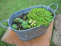 ありがとうございました♪♪ 2010/06/26 19:32:18