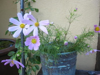 ありがとうございました♪♪ 2010/09/25 16:50:09