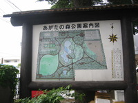 松本クラフトフェア♪♪ 2011/05/29 09:39:11