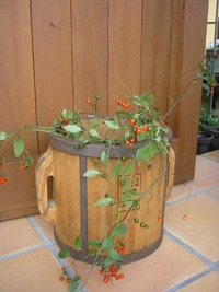 ありがとうございました♪♪ 2009/11/28 20:08:29