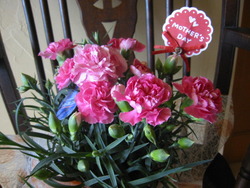 Mothers Day♪♪