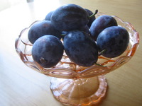 明日はLOCOオープン♪♪ 2010/09/24 19:16:32