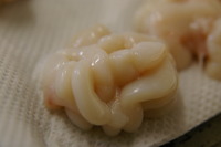 １５日のランチはお休みします。 2009/11/12 20:20:04