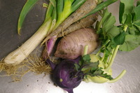 無農薬野菜 2009/12/05 01:46:48
