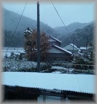 さむい・・・・・・ 2012/01/20 10:00:00