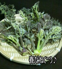 春の楽しみ 2012/04/16 23:52:18