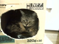 おきにいりにゃぁ～ 2009/10/14 22:59:00