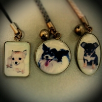ペットの写真入りストラップ 2012/01/27 19:08:43