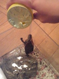凄い食いつき