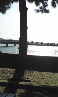 夏の思い出☆ 2009/08/27 18:50:13