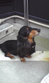 都湖 2010/02/20 09:56:56