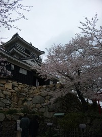 いつ春を感じる 2010/04/07 10:13:34