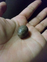 さて、なんでしょう？ 2010/06/13 12:01:33