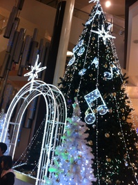 かさかさ。 2013/11/11 07:35:38