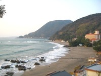 SOUL SURF CUP ・大会情報 2013/02/04 18:11:09