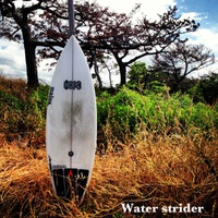 Water Strider インプレッション‼ 2013/05/19 19:10:19