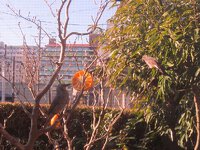 ちゅうなあ通信2025年3月号発行します 2025/03/09 14:03:01