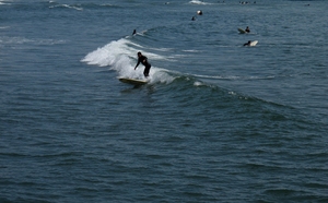a fun day