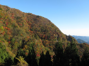 小さな夢・・・