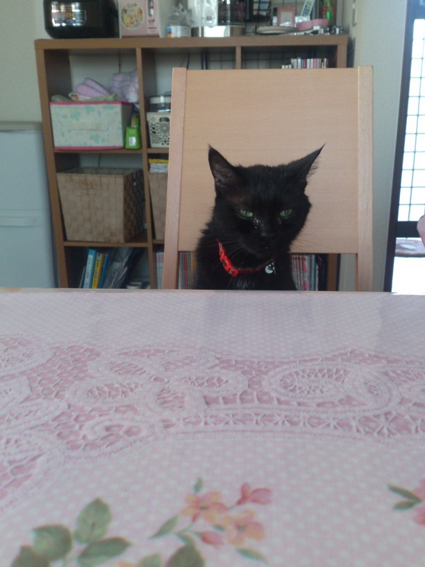 我が家の扶養家族